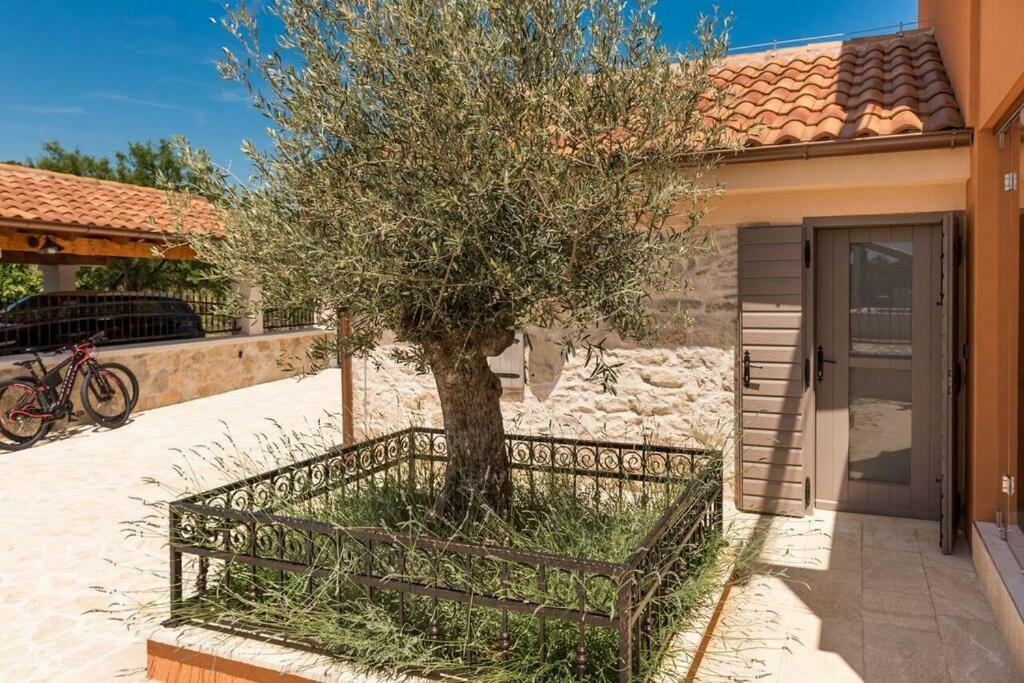Villa Hirundo Rustica Skradin Kültér fotó